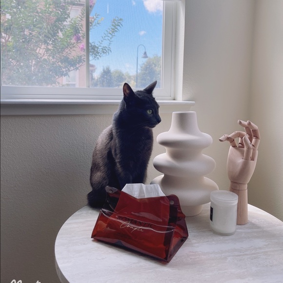 Meet your Posher, Ingrid - Picture 1 of 1